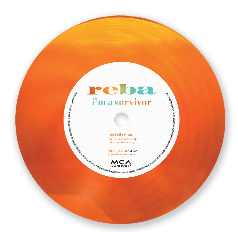 I'm a Survivor (7" Vinyl) Detail
